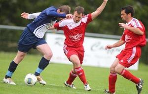 Les irréductibles nobiliens