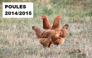 JEUNES : Poules de la 2ème Phase