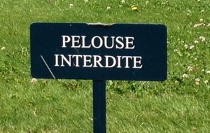 Le Terrain Annexe à l'Honneur