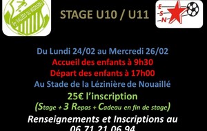 STAGE U10 / U11 les 24/25 et 26 FEVRIER 2020