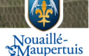 Communiqué de la mairie de Nouaillé