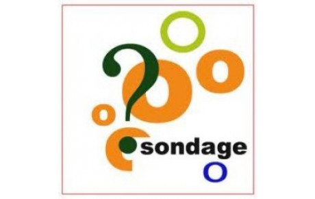 Sondage Nouaillé - Troyes (Site de la LCO)