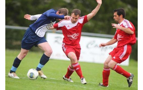 Les irréductibles nobiliens