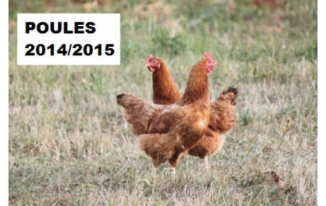 JEUNES : Poules de la 2ème Phase