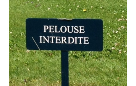 Le Terrain Annexe à l'Honneur