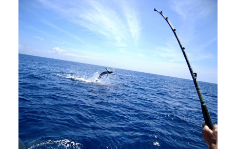 RESUME ESN 3 - BERUGES 1