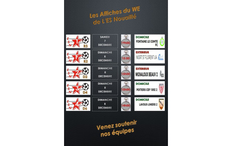 LES AFFICHES DU WE DE L'ESN